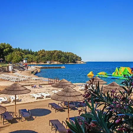 In Vabriga With Pool And Private Garden Villa