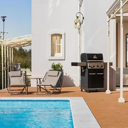 In Vabriga With Pool And Private Garden Villa